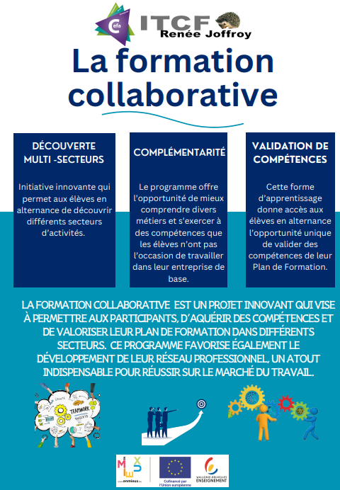 formation collaborative